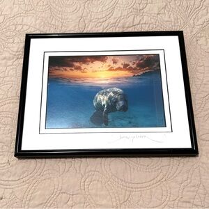 Manatee Underwater Photography Art Professionally Framed 11 x 14